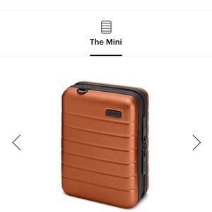 amber luggage